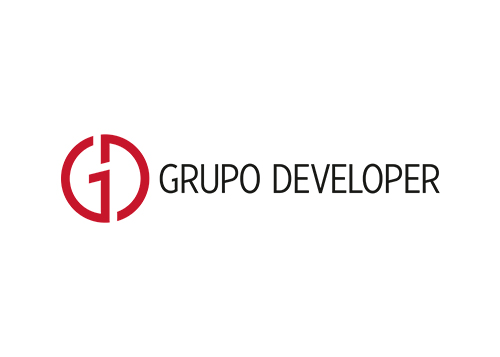 Developer